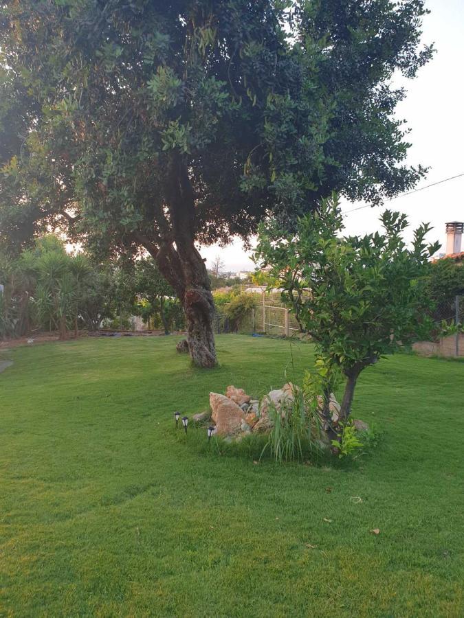 Silia Suites Malia Dış mekan fotoğraf